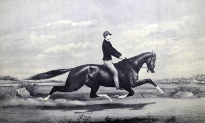 Beroemde Paard Dexter De Koning van de Turf door N. and Ives, J.M. Currier